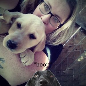 Meet your Posher, Jackie